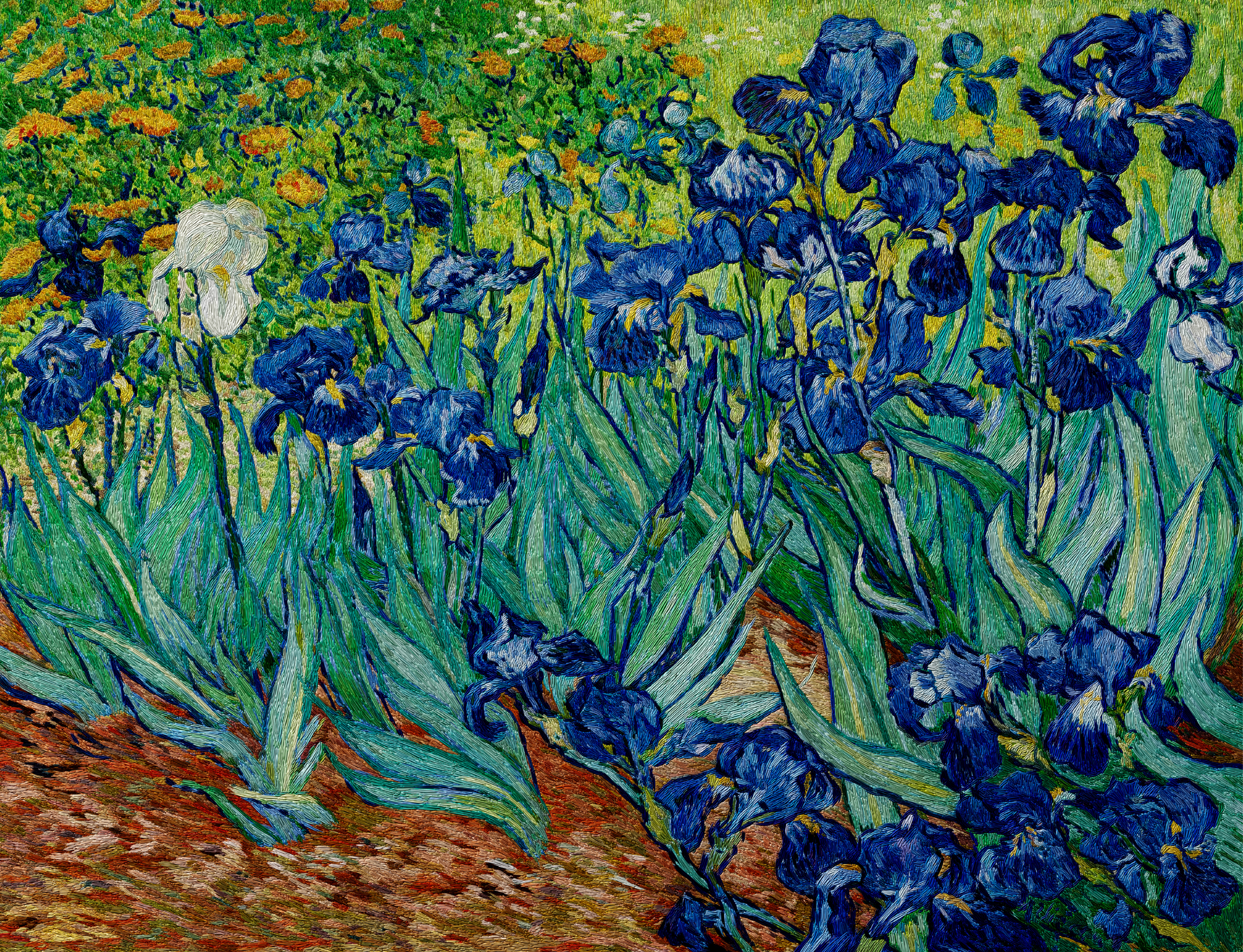Irises